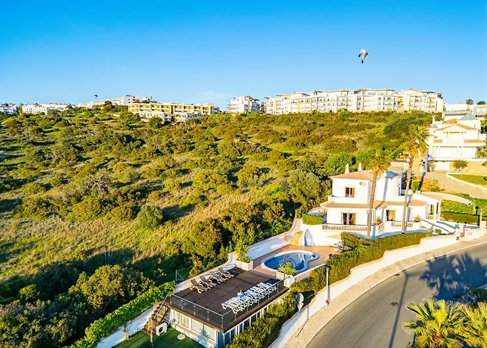 Okapi By Atlantic Places